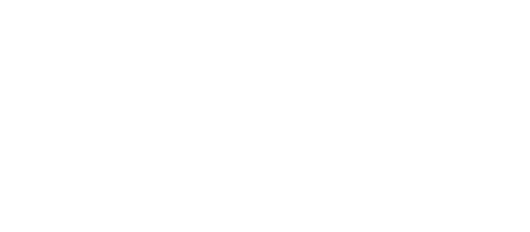 Jardinet del Born